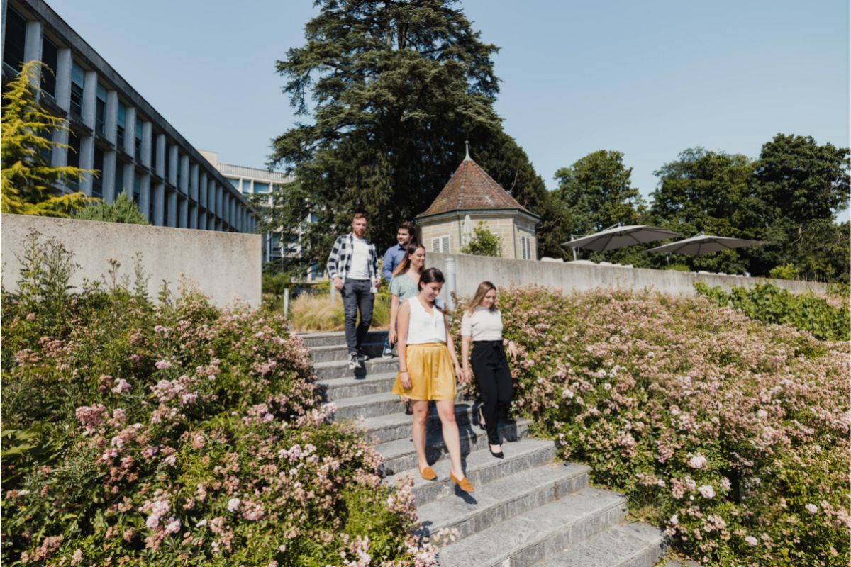 Stagiaires en balade au Siège