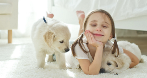 Fillette avec deux chiots
