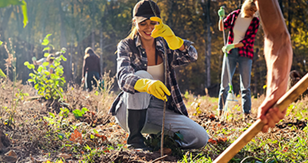 Des membres d'une association participent à une activité de reboisement, travaillant ensemble pour planter de jeunes arbres dans une forêt.