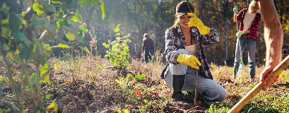 Des membres d'une association participent à une activité de reboisement, travaillant ensemble pour planter de jeunes arbres dans une forêt.